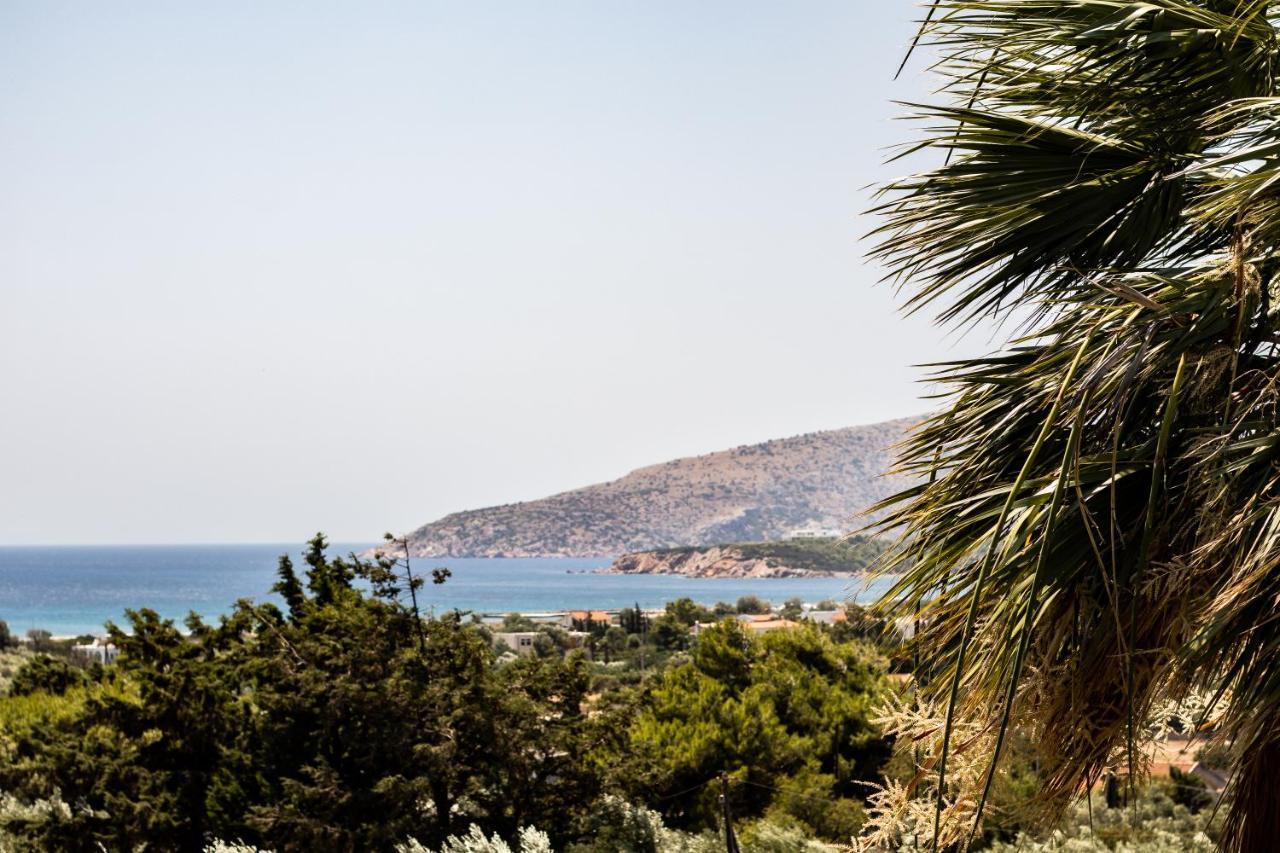 Villa Sounio 수니언 외부 사진